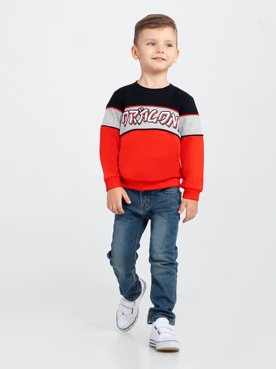 Boys Black Sweatshirt with Dragon Print