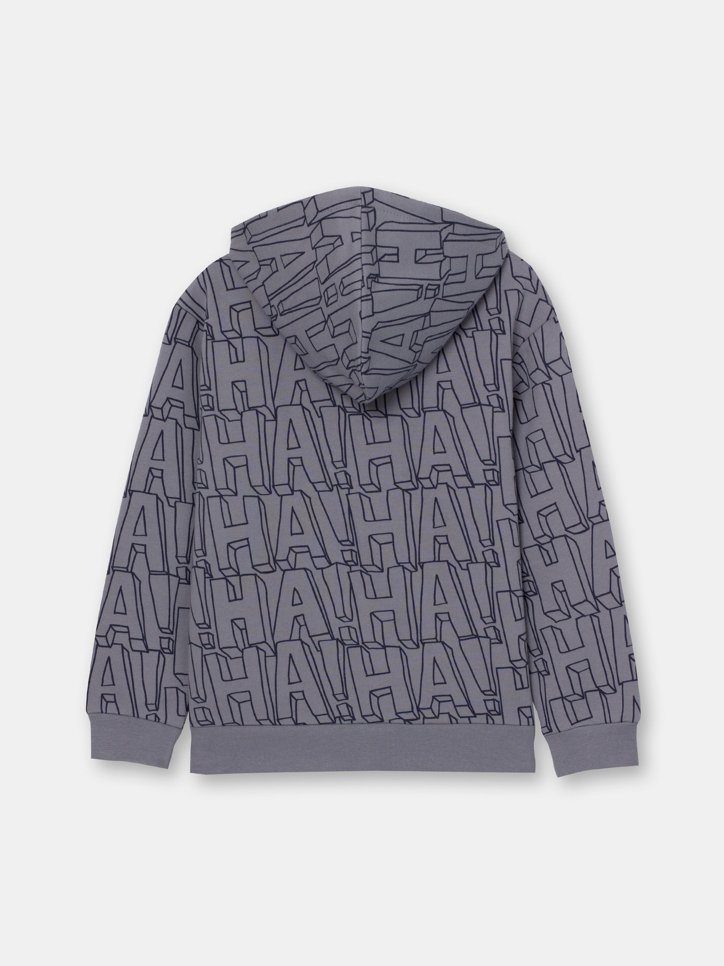 CWKB 62843-23-297 - Cherubino boys grey hoodie with smile print - back