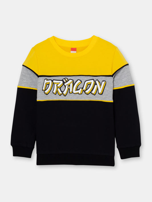 Boys Yellow Sweatshirt with Dragon Print