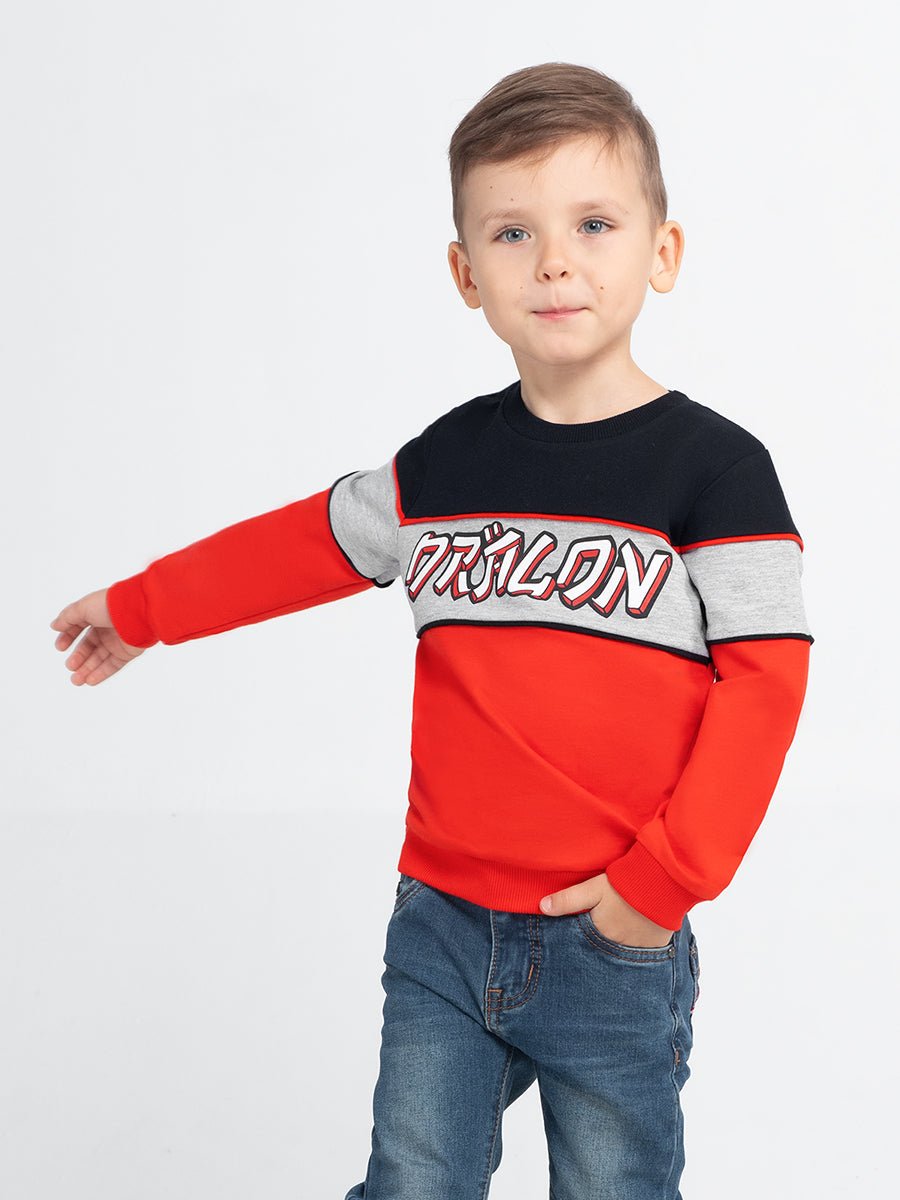 Boys Black Sweatshirt with Dragon Print