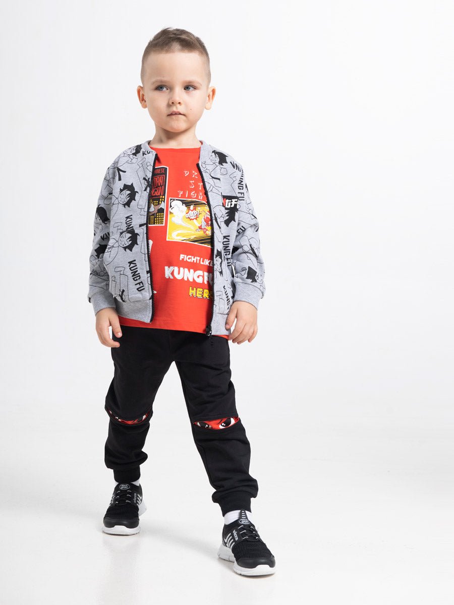 Boys Grey Hoodie with Kung Fu Master Print