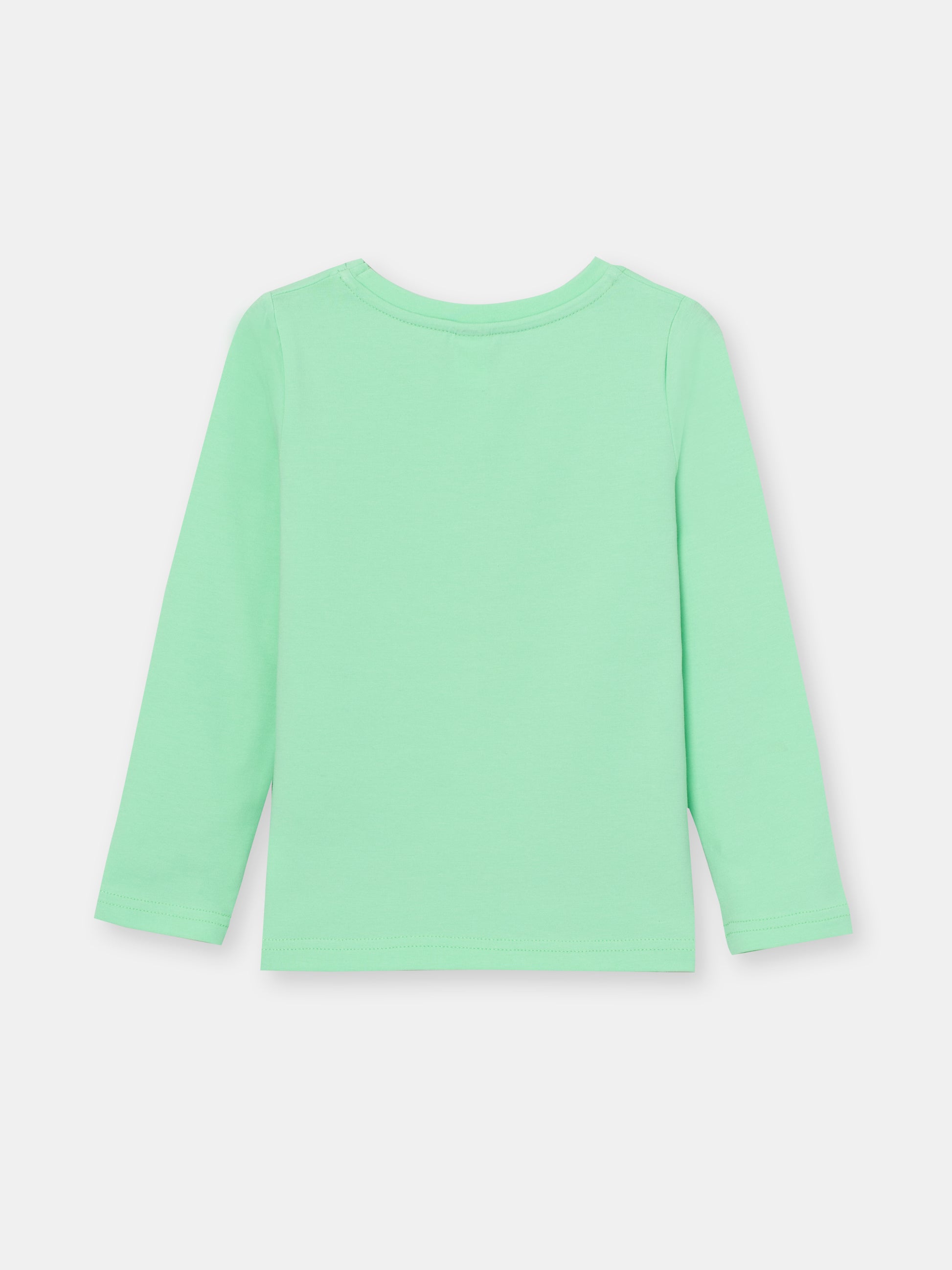 CWKG 62807-38-282 - Cherubino girls mint long sleeve t-shirt with little friends print - back